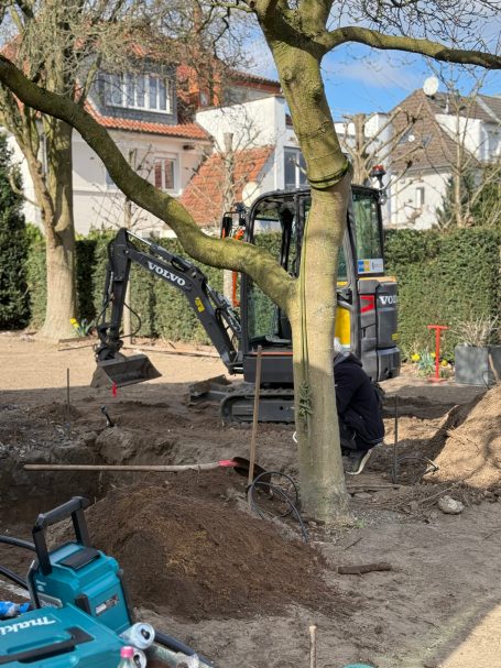 Bagger arbeitet im Garten, ein Baum im Vordergrund, Haus im Hintergrund.